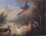 Marmaduke Cradock Waterfowl in a Landscape china oil painting reproduction